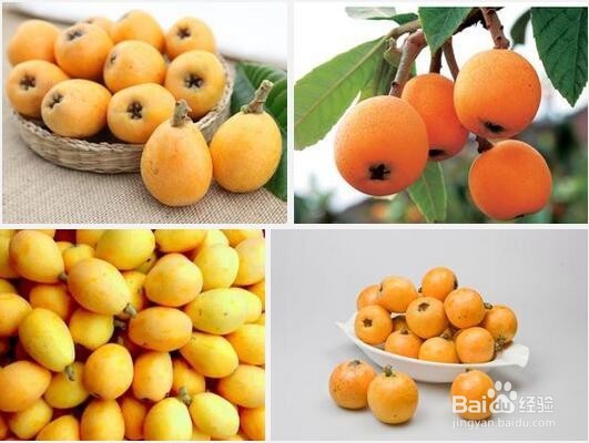 什么样的水果适合春天吃