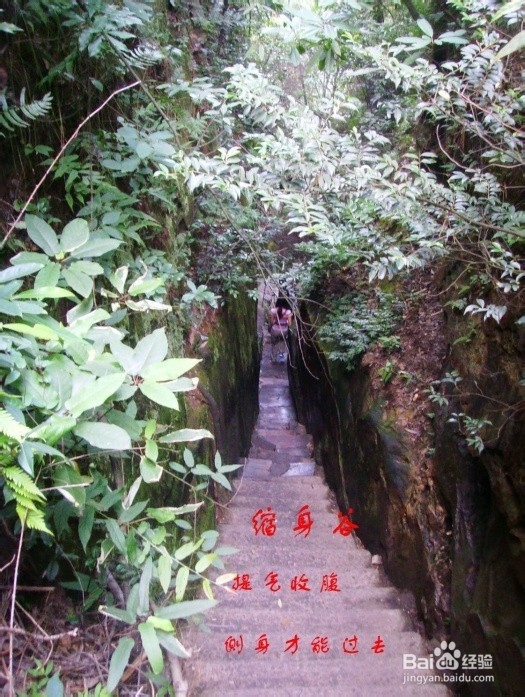 淄博到张家界自驾游