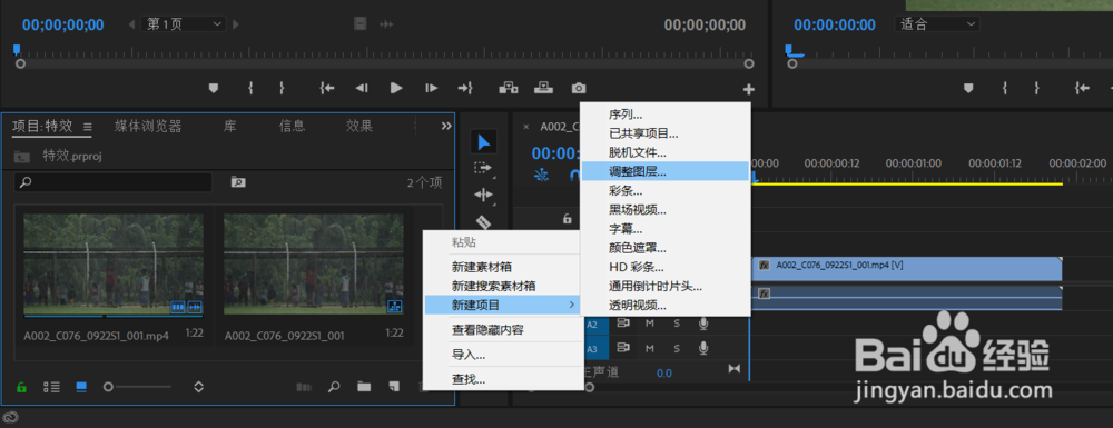 premiere视频特效