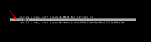 win8.1下安装cent OS7 双系统