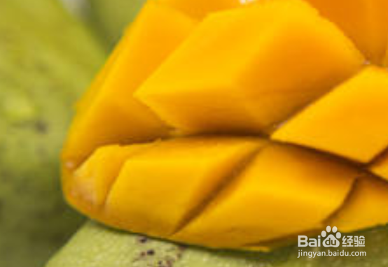 芒果核长出黑色的茎