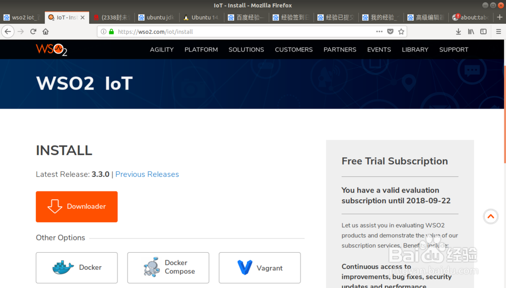 如何在Ubuntu中安装WSO2 Iot Server