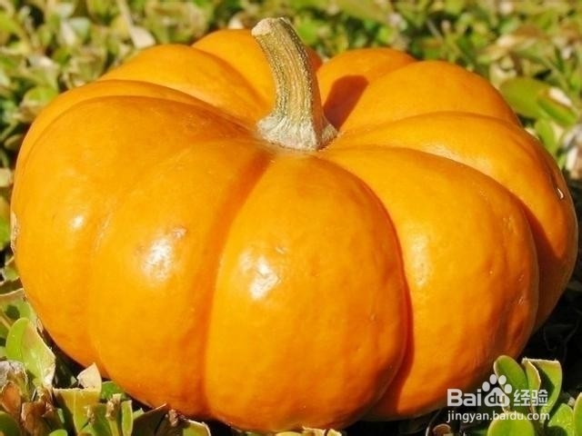 吃什么食物可以缓解脑疲劳