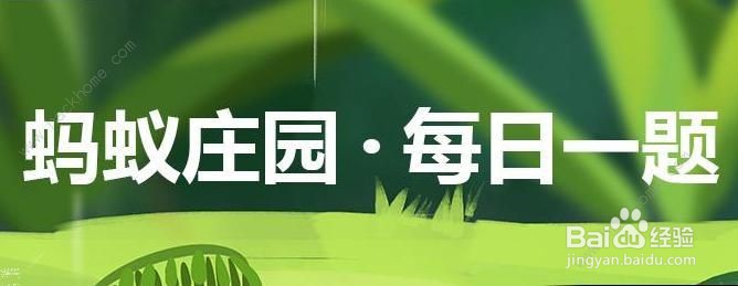 古代女性常用的装饰品花钿是装饰在哪蚂蚁庄园