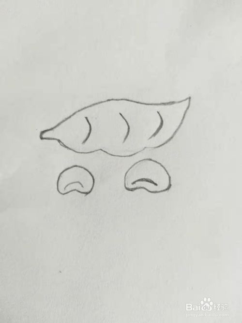 如何画豌豆荚简笔画