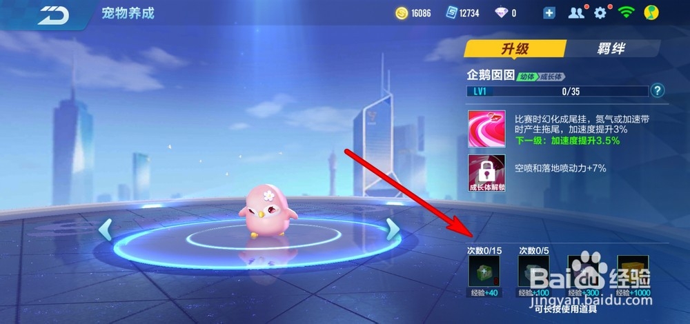 qq飞车手游怎么升级宠物等级