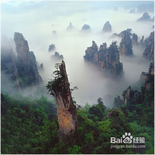 张家界旅游攻略—最详细实用的必备资料