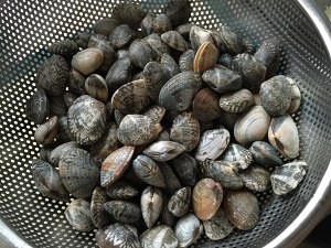 辣炒蛤蜊怎么做