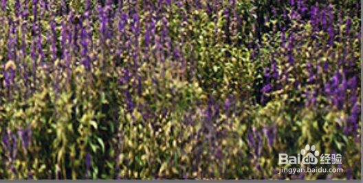 ps怎么快速去水印?