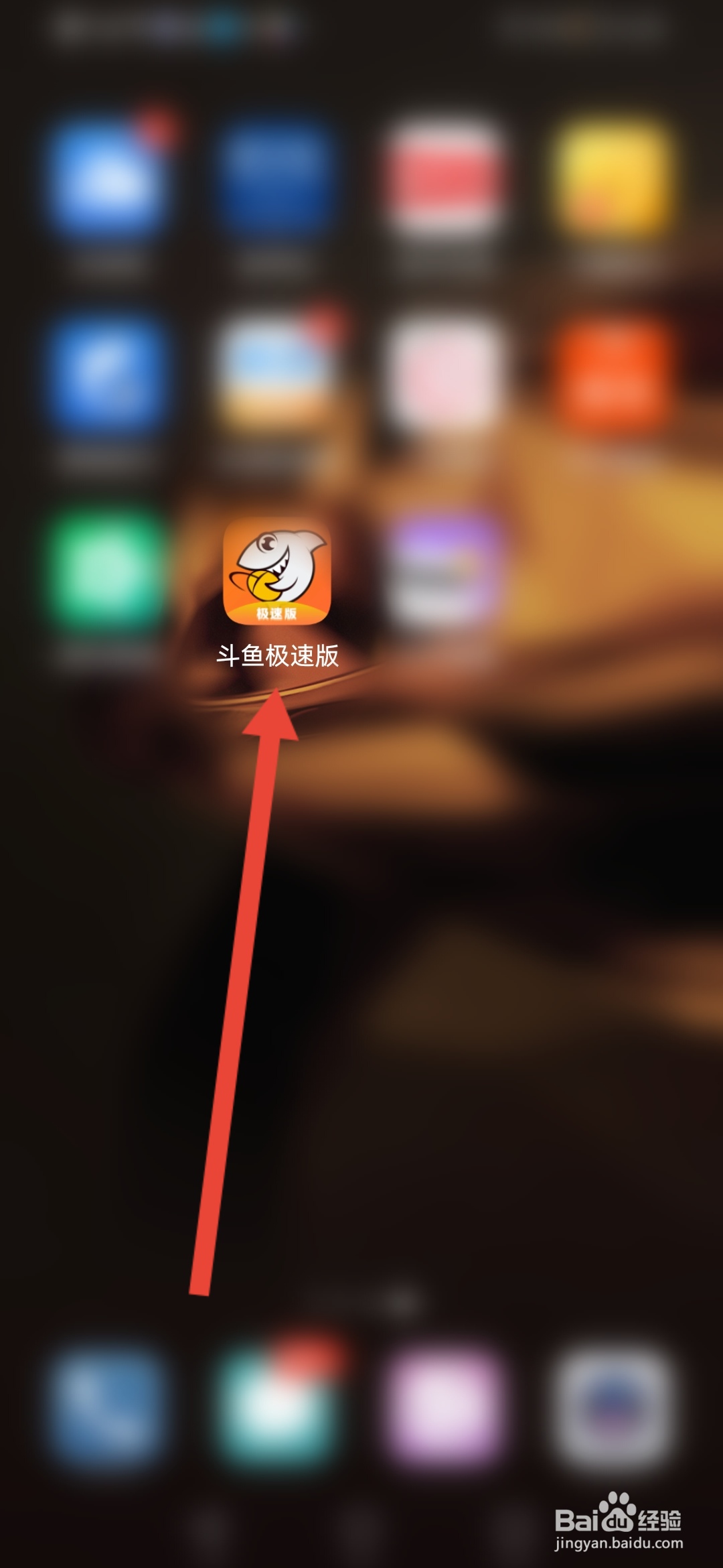 斗鱼极速版怎么查看消费记录