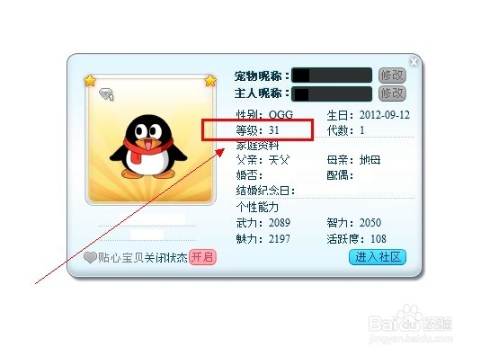怎样查看QQ宠物的等级