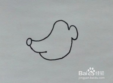 简笔画教程：刺猬的画法