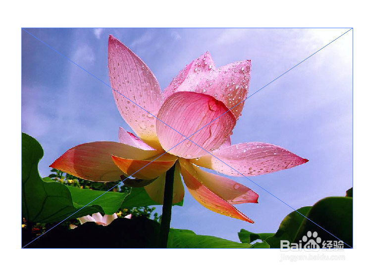 如何使用AI软件把一张图片放入到图形中