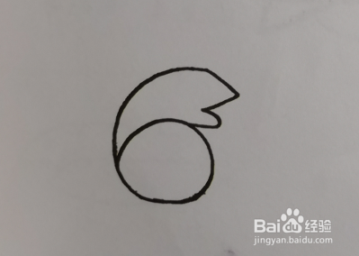 绘画启蒙：松鼠的简单画法。