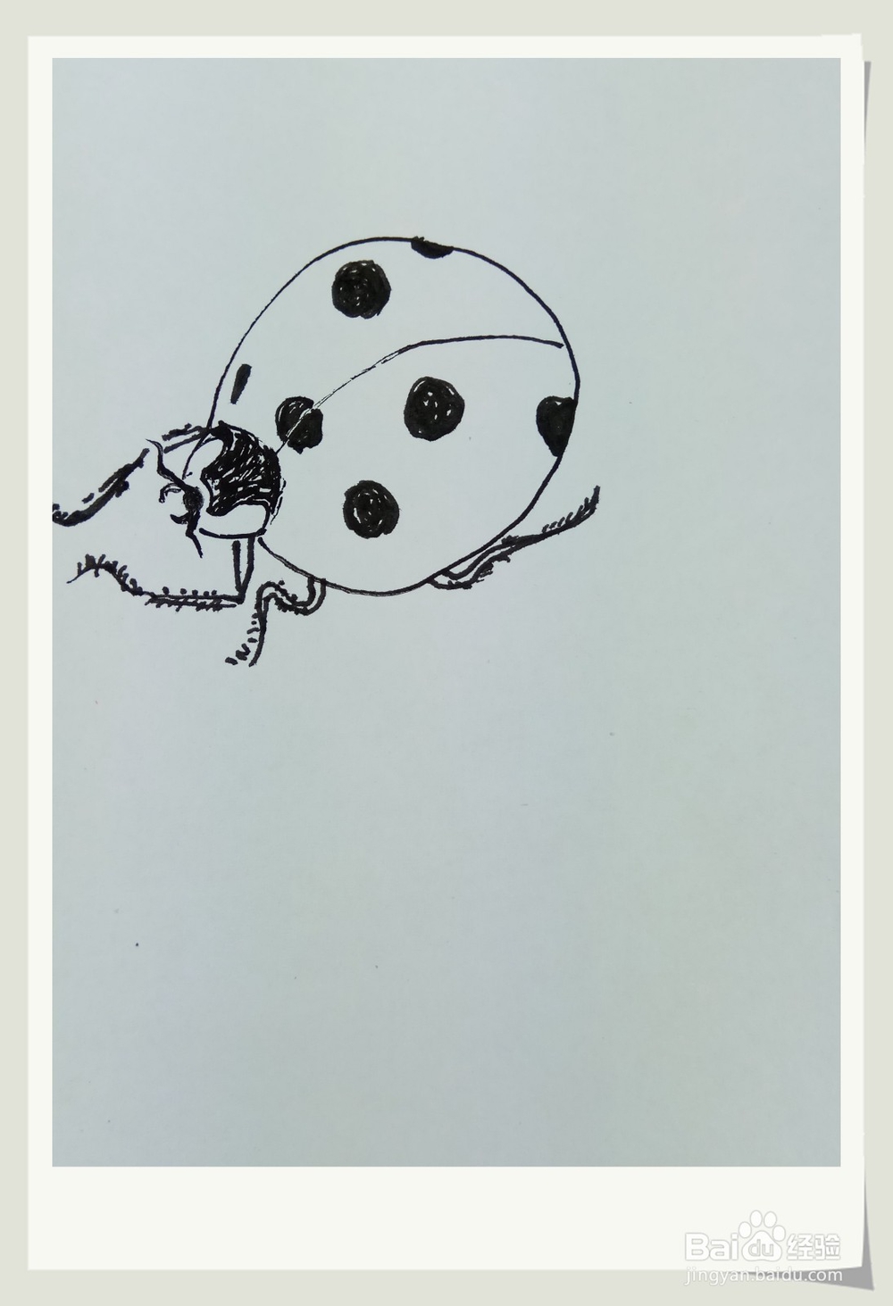 怎样画简笔画“小小七星瓢虫”