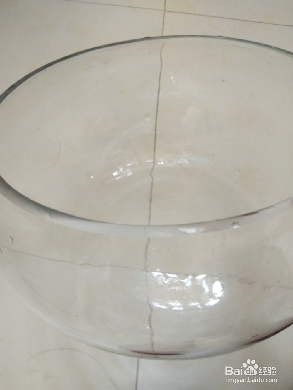 怎么换水让家里小型鱼缸里的金鱼活的时间更长