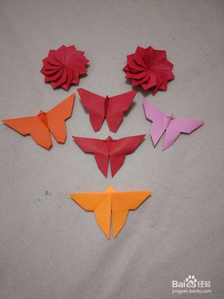 工艺美术馆：蝴蝶花园。