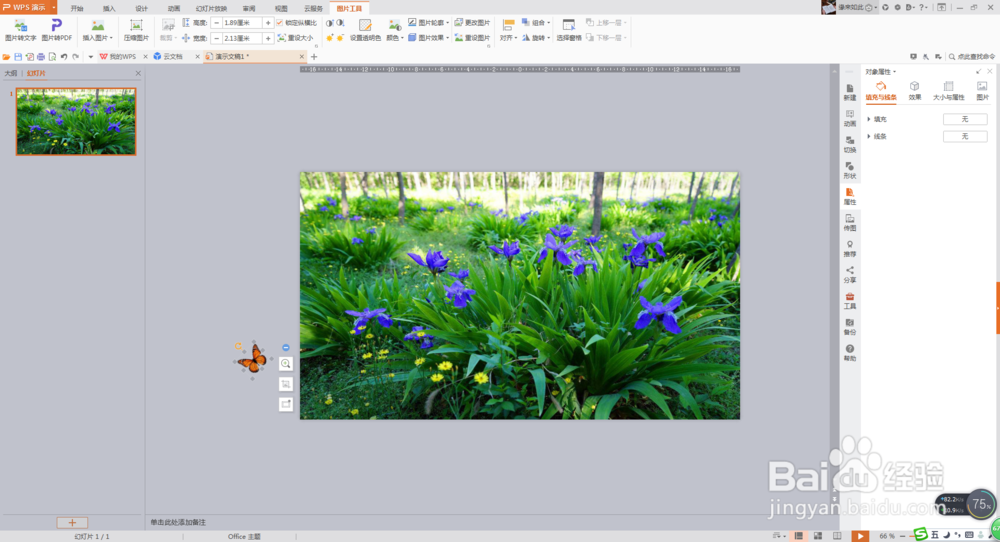 PPT动画特效——让蝴蝶自由飞舞