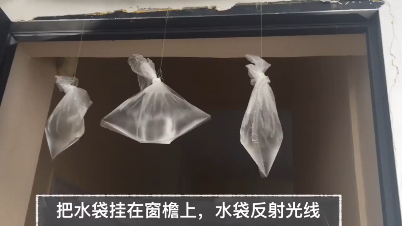如何自制赶苍蝇神器