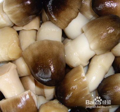 夏季最该吃的几种养生食物