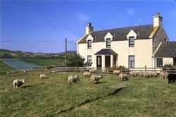 如何挑出好房子