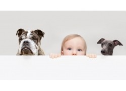 孕早期饮食原则