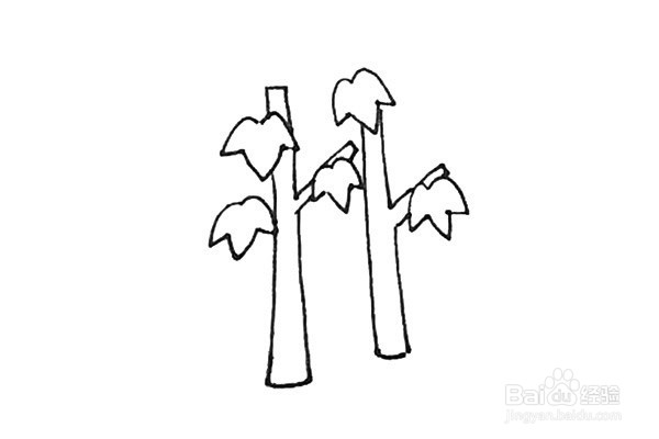 枫树简笔画怎么画