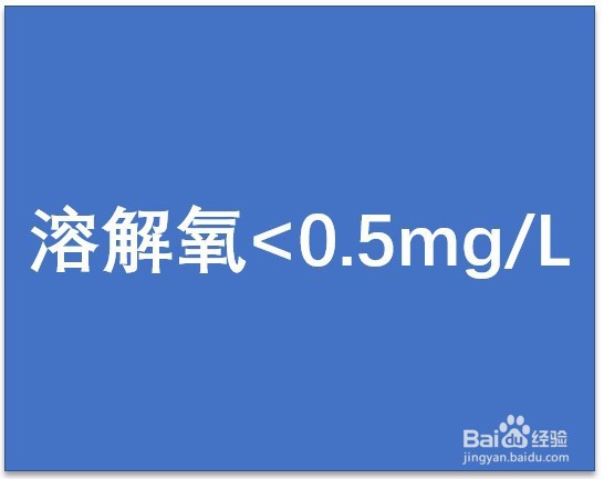 污水处理总氮降解菌介绍