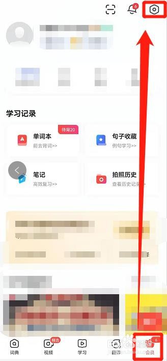 有道词典中,怎么设置复制后自动查词