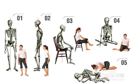 腰椎间盘突出症的锻炼方法