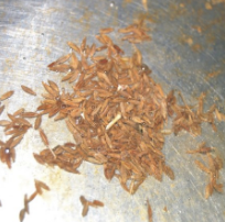 孜然香酥小黄豆的做法