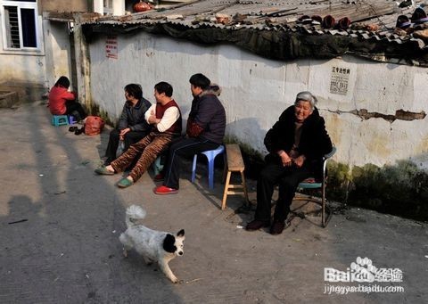 冬天手脚冰冷怎么办