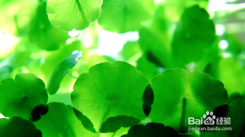 怎么样才能够网聊搭讪女生,获得女生的信任