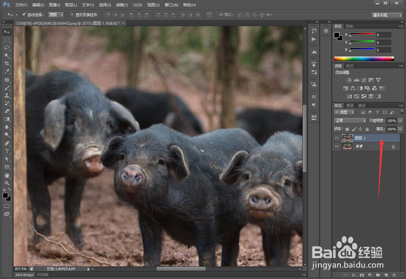 PS如何快速提升图片的清晰度