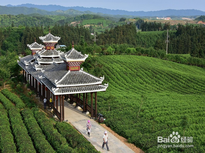 疫情期间五一出门旅游要注意些什么