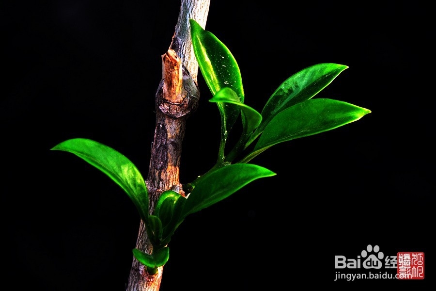 如何学会和你不想打交道的人联系