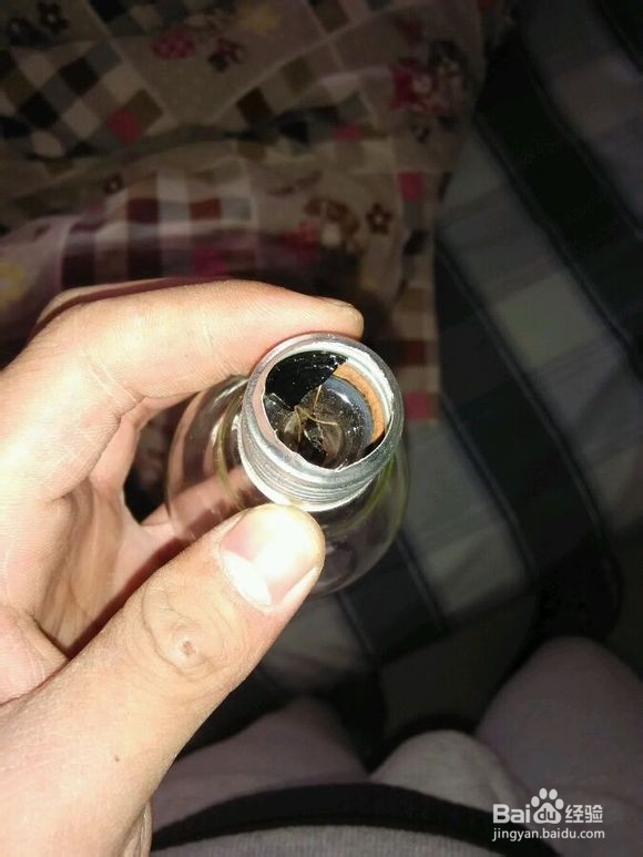 灯泡盆景怎么制作