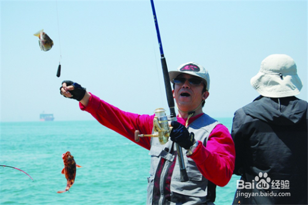 秋天能钓很多鱼的8个技巧，绝对让你满载而归！