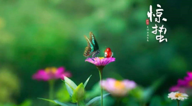 惊蛰是什么意思。