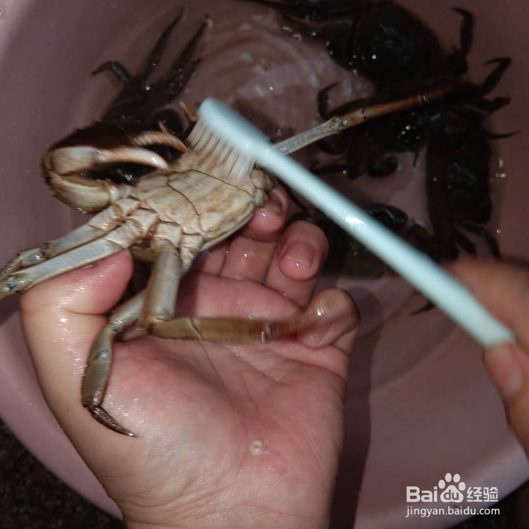红烧螃蟹怎么做
