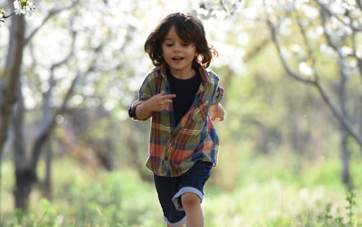 关于成长的唯美句子 优秀作家