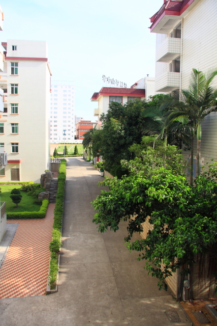 2019年中考分数线是多少
2019年中考分数线是多少