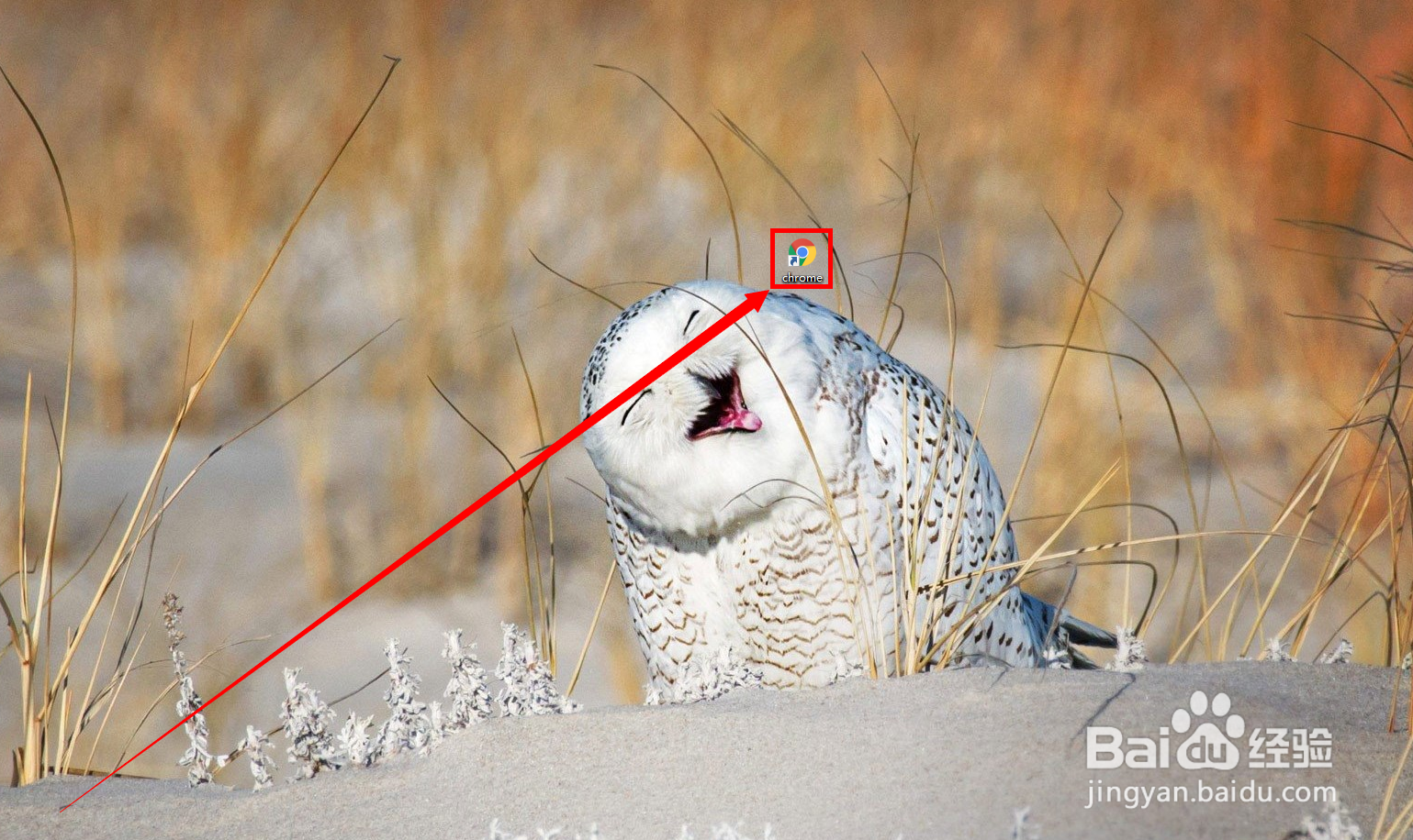sublimetext3激活教程