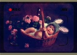 怎样给宝宝选纸尿裤?