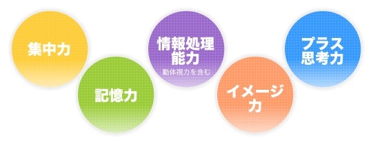 儿童智力开发