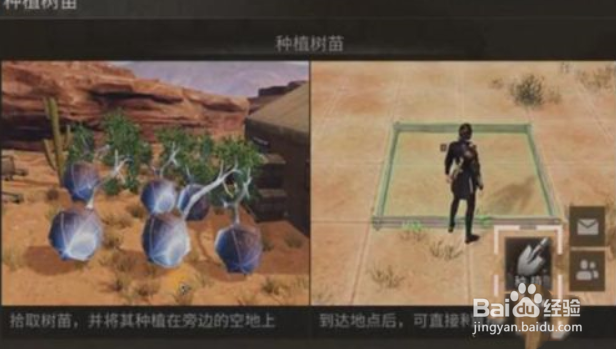 明日之后防沙护林活动攻略