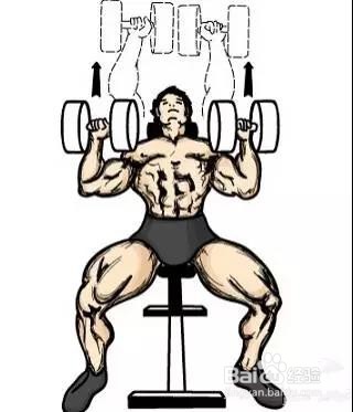 只需一对哑铃,在家锻炼全身肌肉!