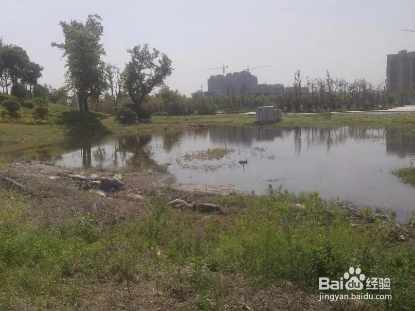 沛县旅游景点攻略