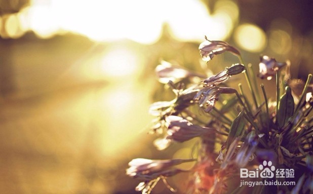 贵州会计实操做账流程（中小企业）