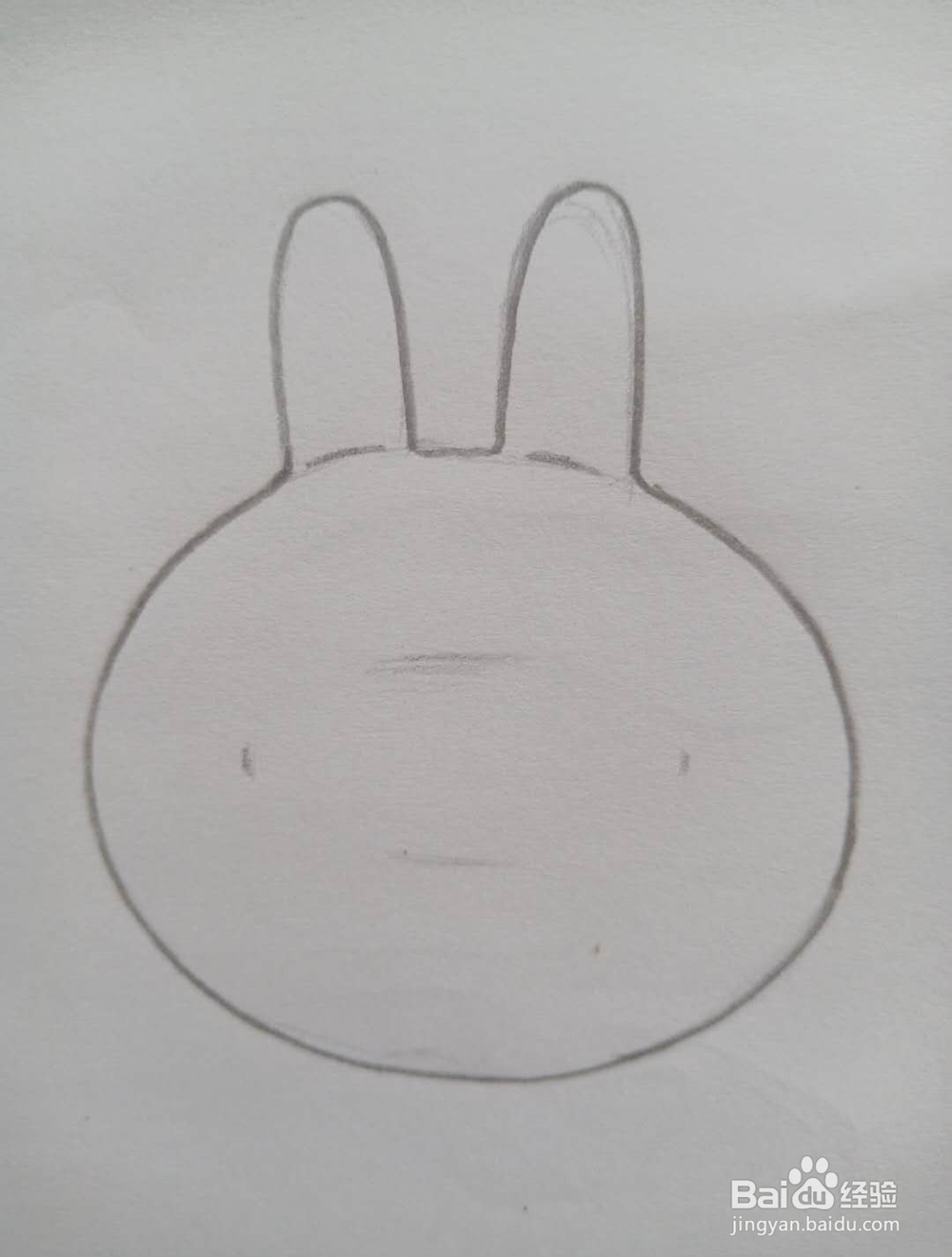 怎么画可妮兔